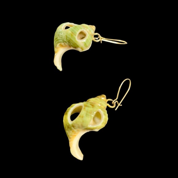 EXTRAORDINARY ~ HANDMADE ~ EXOSKELETON SHELL & GOLD TRIMMED ~ EARRINGS ~ 1" - Picture 8 of 11